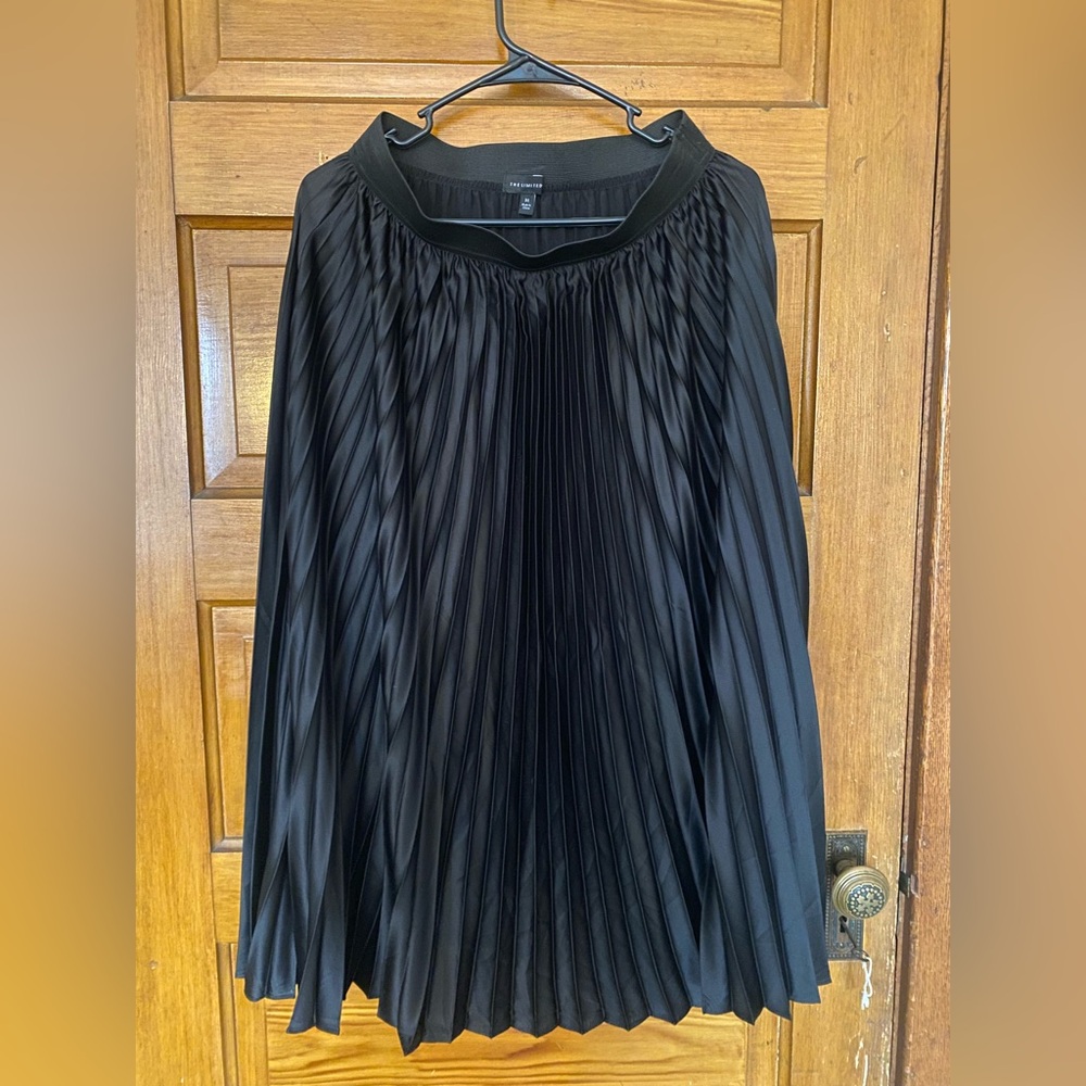 The Limited Black A-Line Pleated Skirt